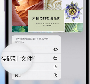 毕节apple维修中心分享iPhone文件应用中存储和找到下载文件