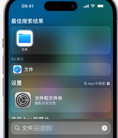 毕节apple维修中心分享iPhone文件应用中存储和找到下载文件