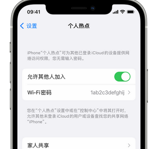 毕节apple服务站点分享iPhone上个人热点丢失了怎么办 