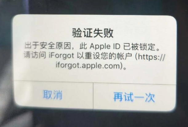 毕节iPhone维修分享iPhone上正常登录或使用AppleID怎么办 