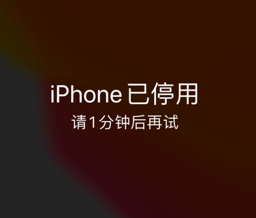 毕节苹果手机维修分享:iPhone 显示“不可用”或“已停用”怎么办？还能保留数据吗？ 