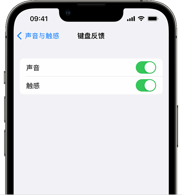 毕节苹果14维修店分享如何在 iPhone 14 机型中使用触感键盘 