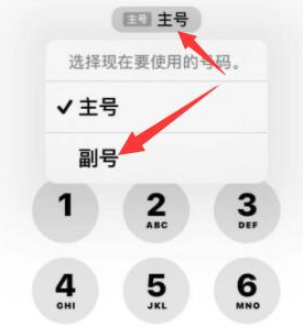 毕节苹果14维修店分享iPhone 14 Pro Max使用副卡打电话的方法 