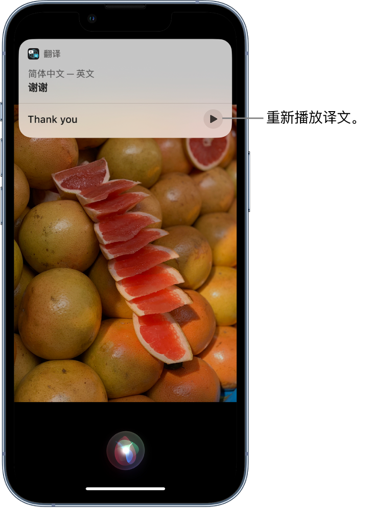 毕节苹果14维修分享 iPhone 14 机型中使用 Siri：了解 Siri 能帮你做什么 