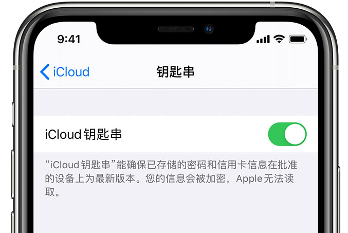 毕节苹果手机维修分享在 iPhone 上开启 iCloud 钥匙串之后会储存哪些信息 