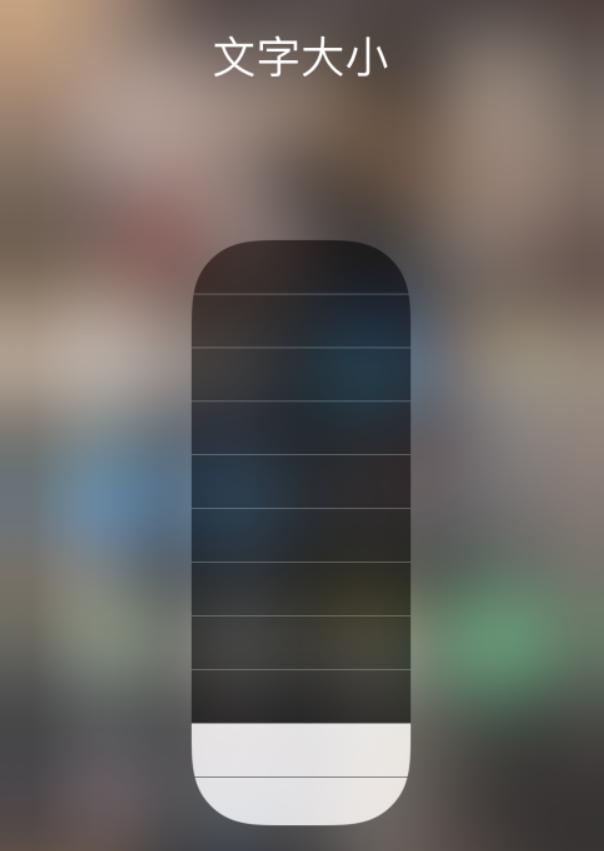毕节苹果手机维修分享小技巧：在 iPhone 控制中心快速调节字体大小 