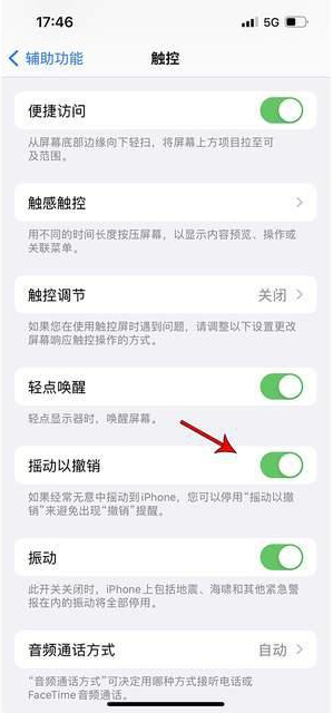 毕节苹果手机维修分享iPhone手机如何设置摇一摇删除文字 